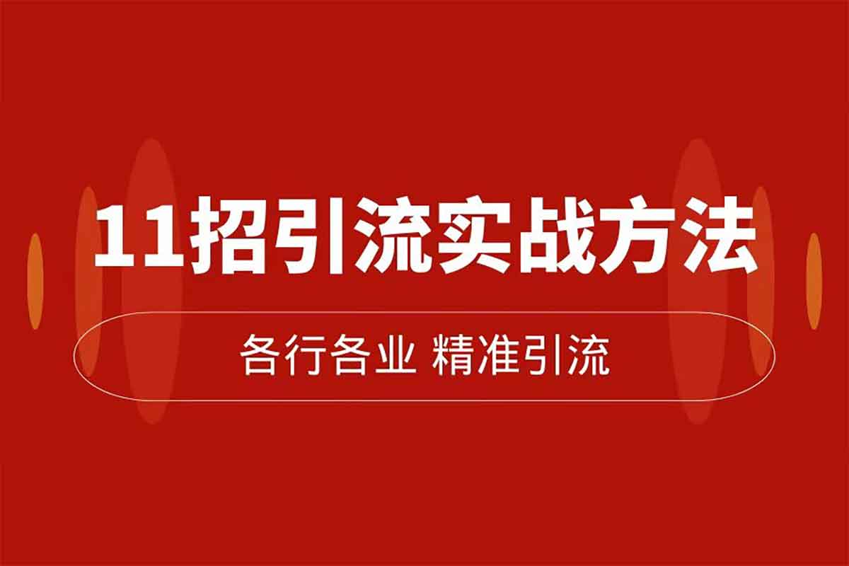 精准引流术：11招引流实战方法，让你私域流量加到爆（11节课完整)-IT黑科技